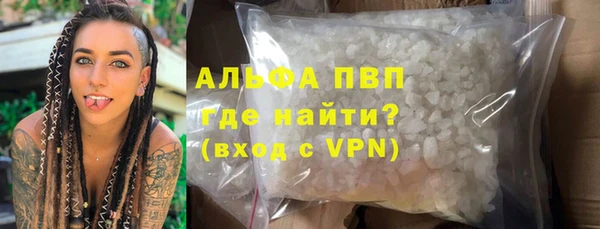 мяу мяу мука Абаза
