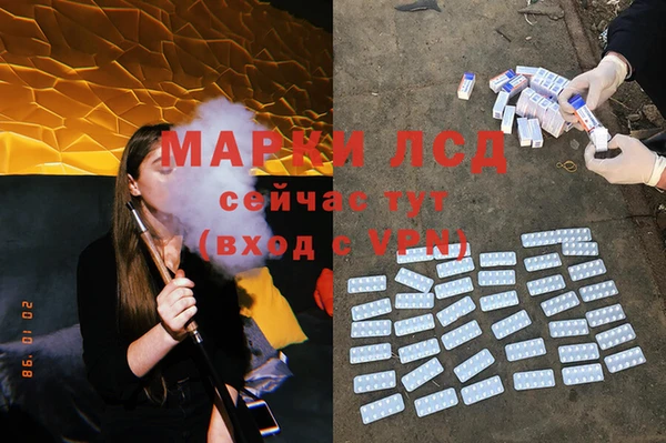 мяу мяу мука Абаза