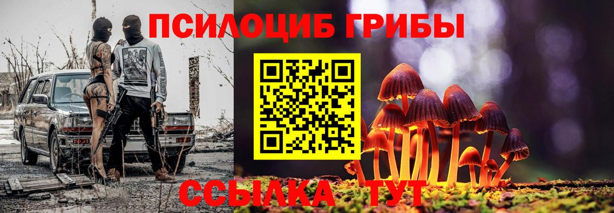 Псилоцибиновые грибы Psilocybine cubensis Гагарин